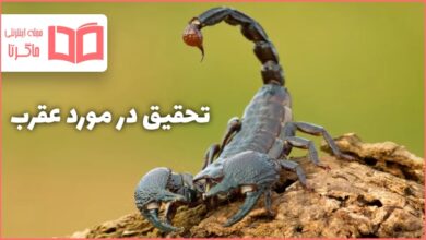 تحقیق در مورد عقرب کلاس چهارم