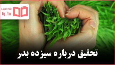 تحقیق درباره سیزده بدر