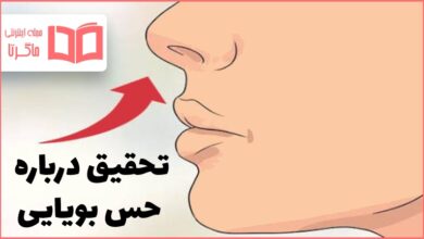 تحقیق درباره حس بویایی کلاس پنجم