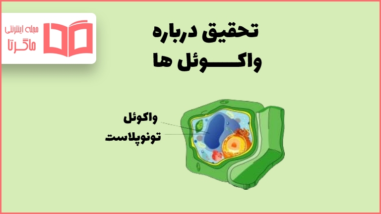 تحقیق درباره واکوئل ها