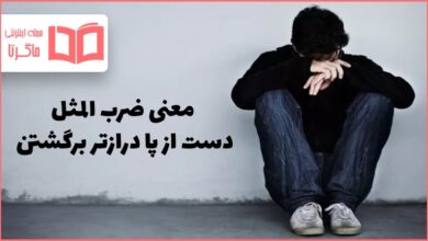 معنی ضرب المثل دست از پا درازتر برگشتن