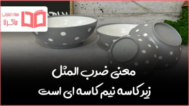 معنی ضرب المثل زیر کاسه نیم کاسه ای است