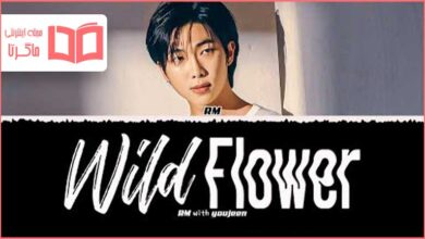 متن و ترجمه آهنگ Wild Flower از RM عضو BTS