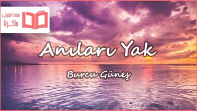 متن و ترجمه آهنگ Anıları Yak از Burcu Güneş