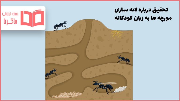 تحقیق درباره لانه سازی مورچه ها