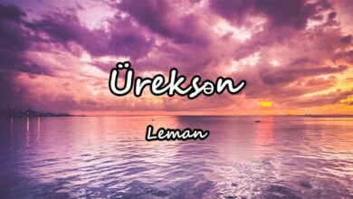 متن و ترجمه آهنگ Üreksən از Leman