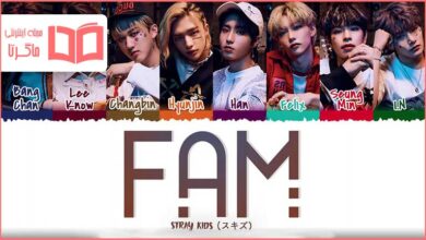 متن و ترجمه آهنگ FAM از Stray Kids