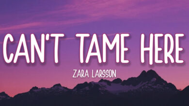 متن و ترجمه آهنگ Can't Tame Her از Zara Larsson