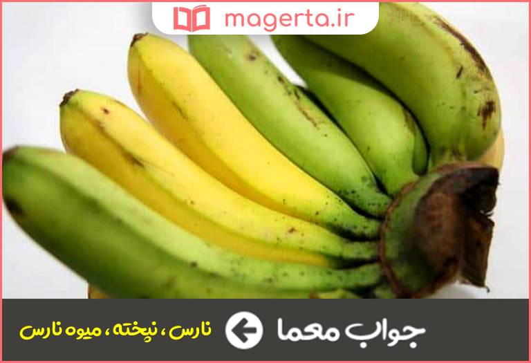 جواب معما کال در جدول