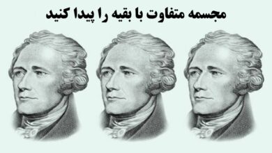 کدام مجسمه با بقیه فرق دارد؟ فرق افراد تیزهوش می توانند به این معما پاسخ دهند