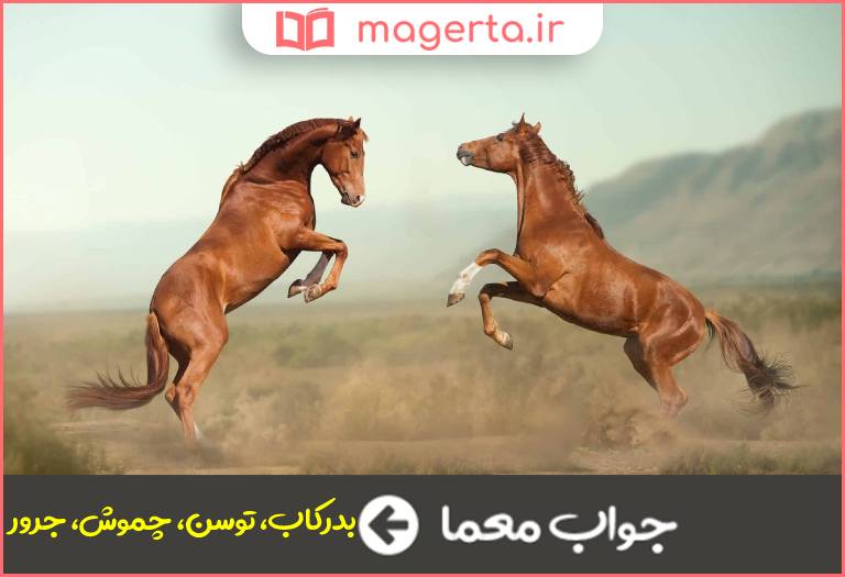 جواب معما اسب سرکش در جدول