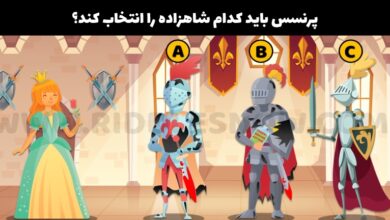 تست هوش | به نظر شما کدام شاهزاده لیاقت پرنسس دارد؟