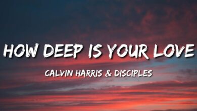 متن و ترجمه آهنگ How Deep Is Your Love از Calvin Harris و Disciples