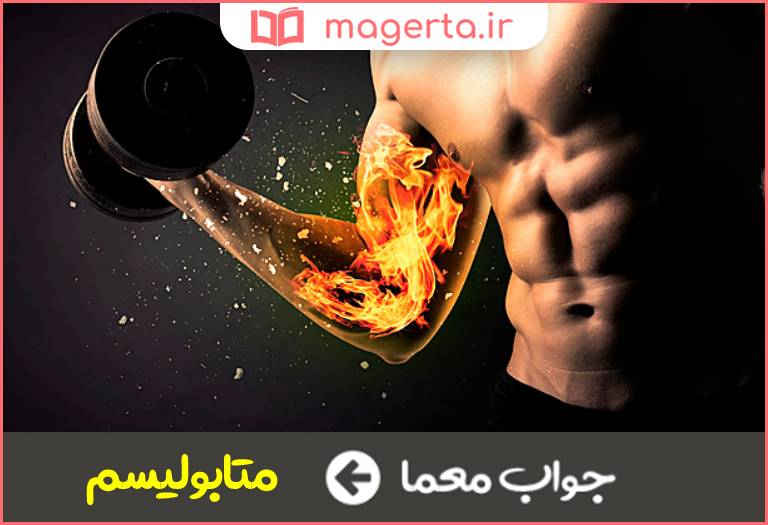 جواب معما سوخت و ساز بدن در جدول