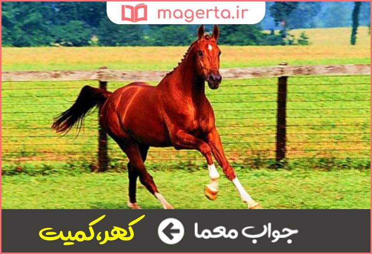 جواب معما اسب سرخ در جدول