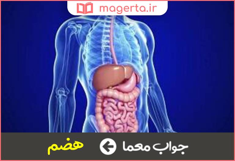 جواب معما گوارش در جدول