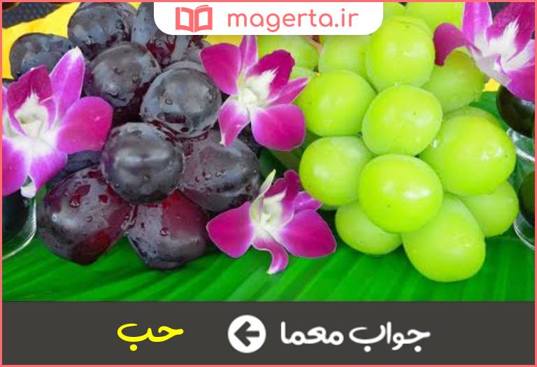 جواب معما دانه انگور در جدول