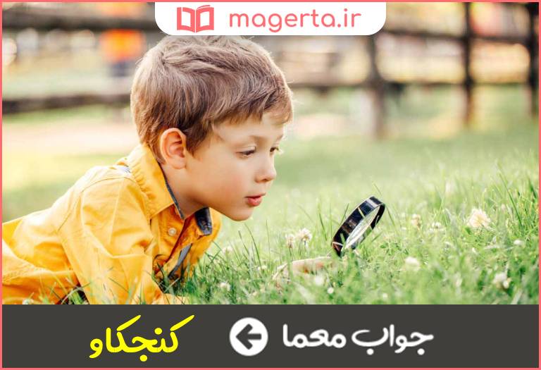 جواب معما تفحص كننده در جدول