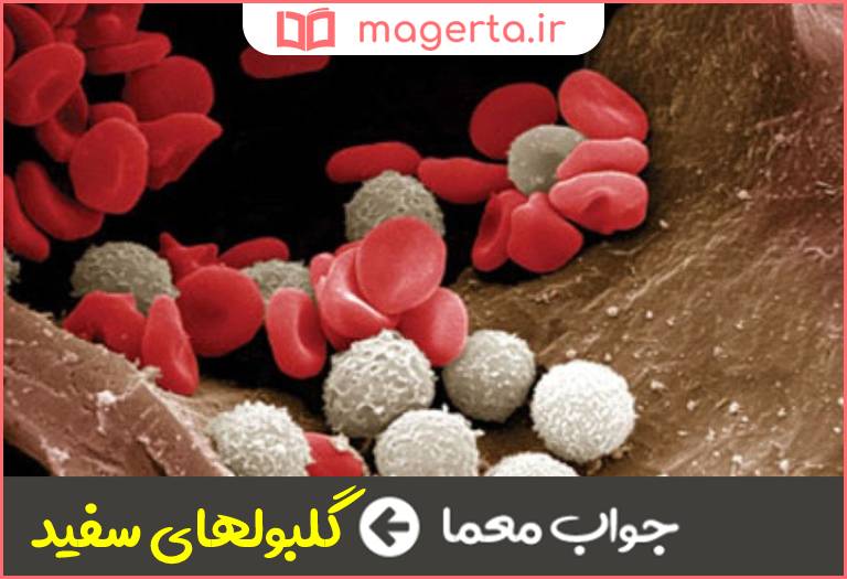 جواب معما بخشی از سیستم ایمنی بدن به شمار می رود و در برابر بیماری های عفونی از بدن محافظت می كند در جدول