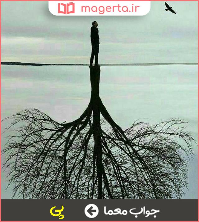 جواب معما رگ و ریشه در جدول