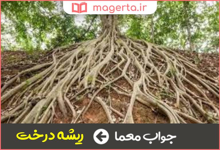 جواب معما اروم در جدول