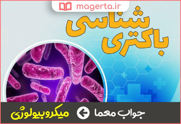 جواب معما باکتری شناس در جدول