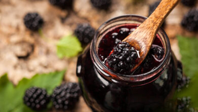 طرز تهیه مربا توت سیاه