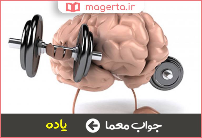 جواب معما قوه حافظه در جدول