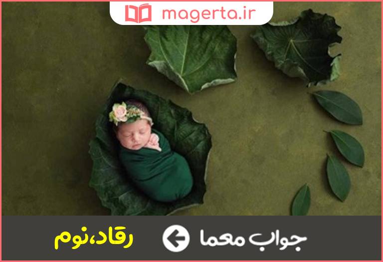 جواب معما خوابیدن در جدول