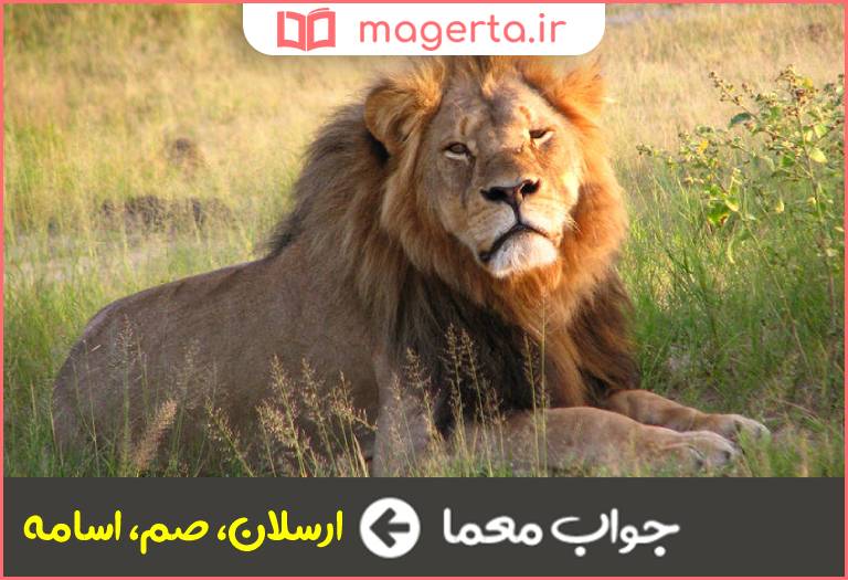 جواب معما شیر بیشه در جدول