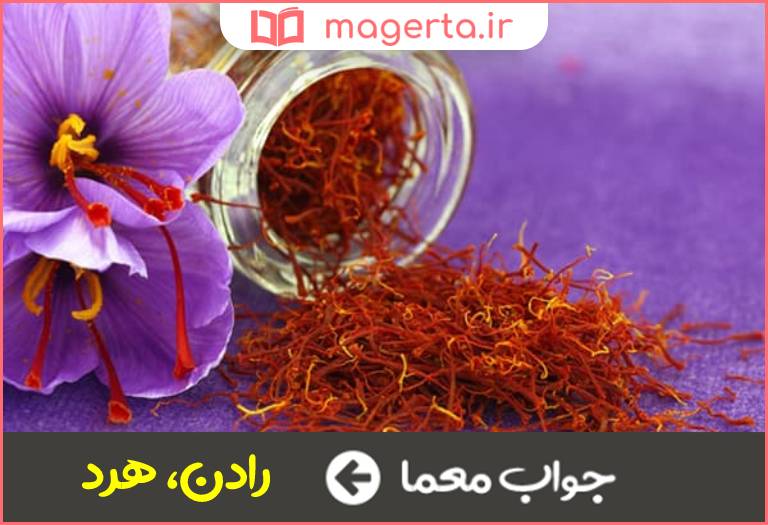 جواب معما زعفران در جدول