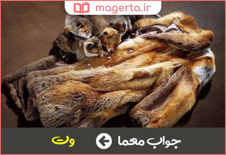 جواب معما رخت پوستی در جدول