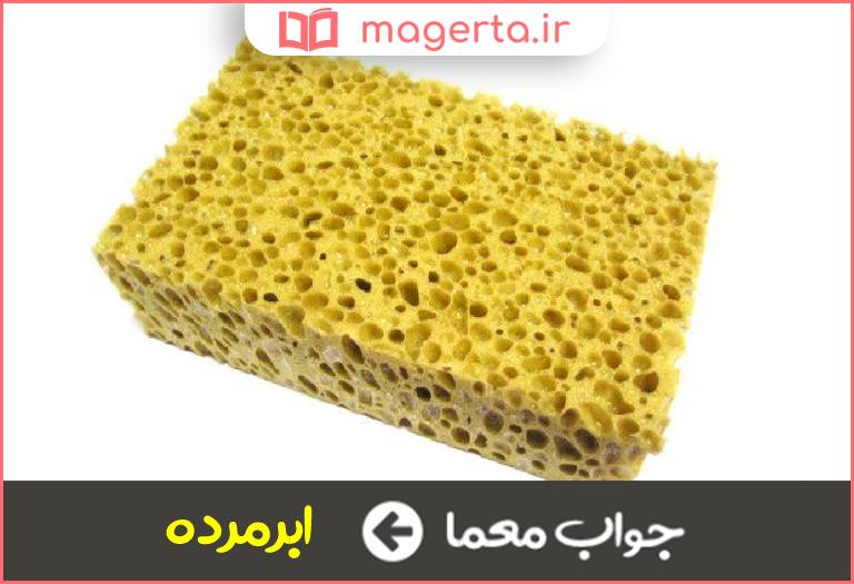 جواب معما اسفنج در جدول