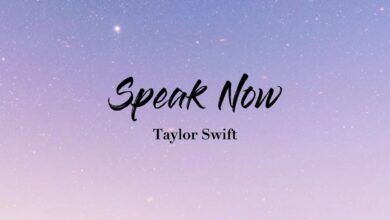 متن و ترجمه آهنگ Speak Now از Taylor Swift