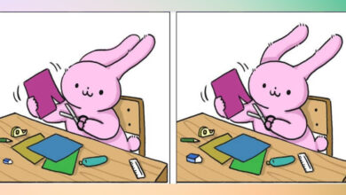 معما راحت خرگوش