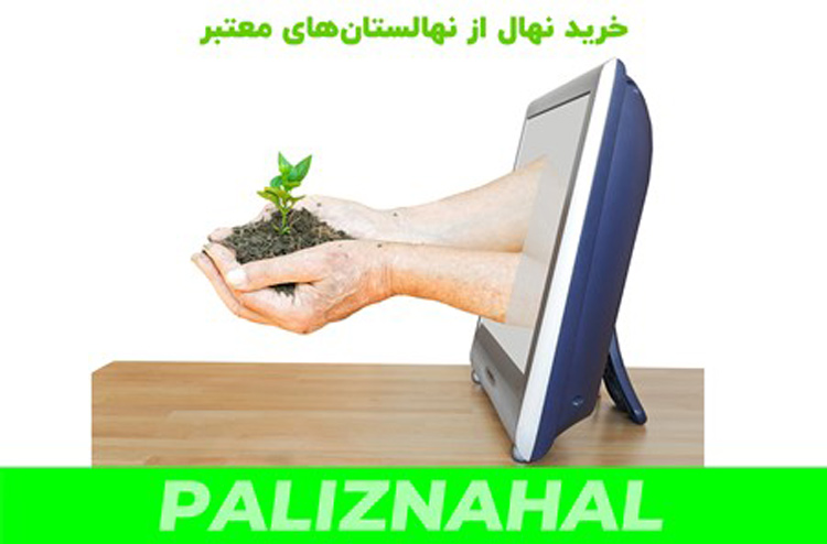 خرید اینترنتی از سایت نهالستان