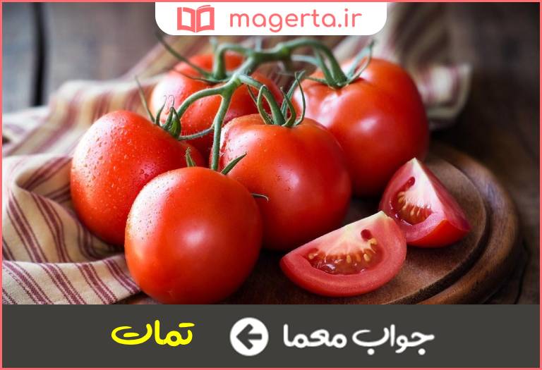 جواب معما گوجه فرنگی در جدول