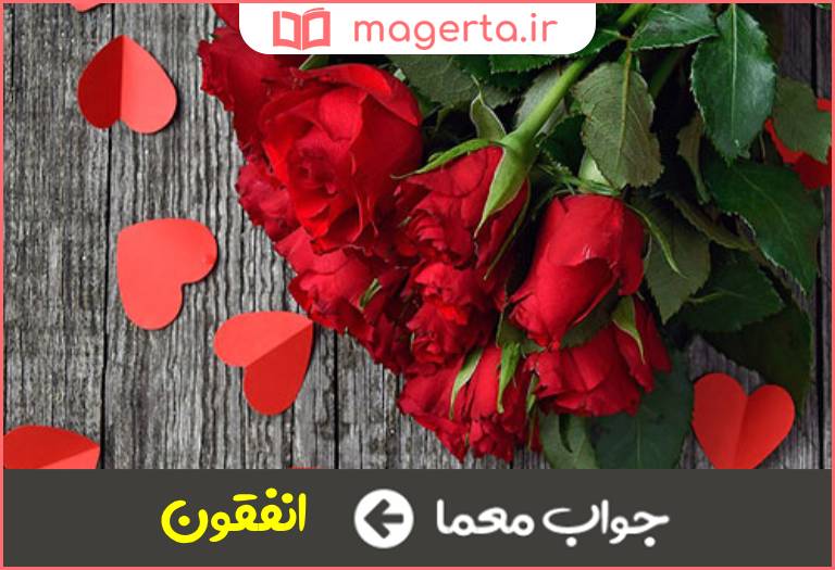 جواب معما نوعی گل سرخ بی بو در جدول