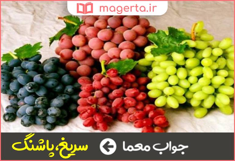 جواب معما خوشه انگور در جدول