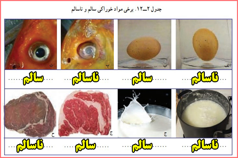 جواب کار کلاسی صفحه ۱۶۱ پودمان خوراک کاروفناوری هفتم