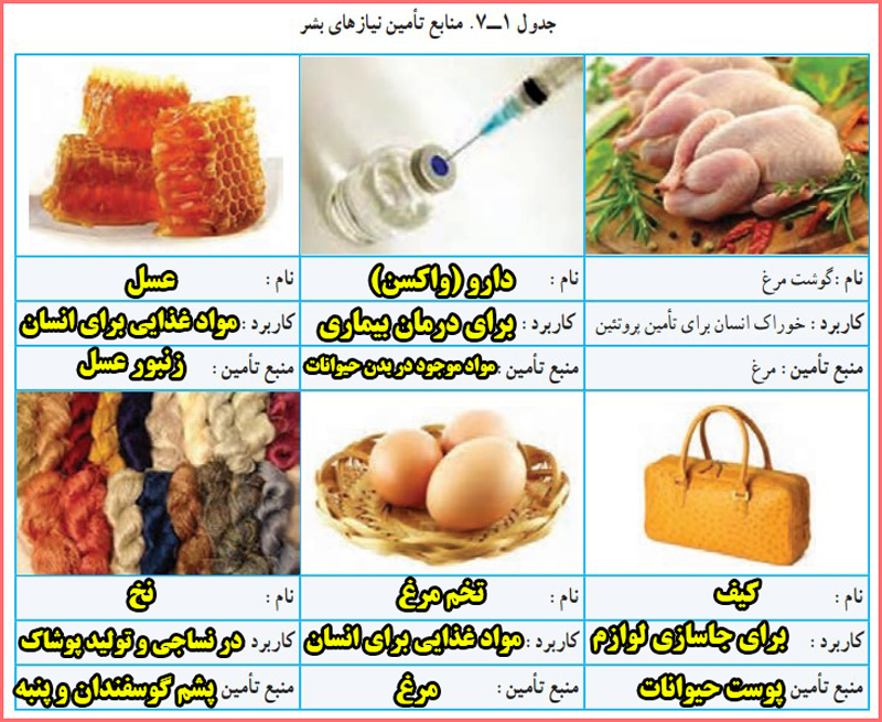 جواب کار کلاسی صفحه ۱۰۱ پودمان پرورش و نگهداری از حیوانات کاروفناوری هشتم