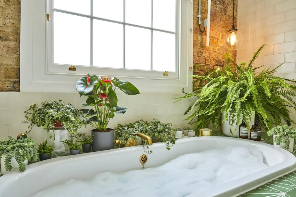 گیاهان عاشق حمام