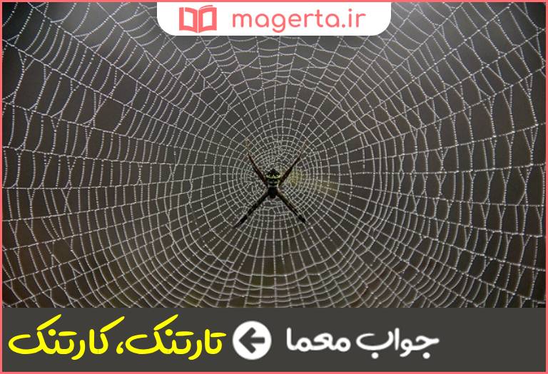 جواب معما معنی تار عنکبوت در جدول