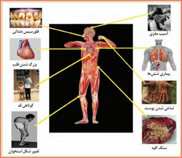 جواب خود را بیازمایید صفحه ۹۰ زمین شناسی یازدهم