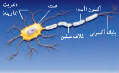 شکل فعالیت ۱-۶ صفحه ۲۶ فیزیک پایه یازدهم ریاضی