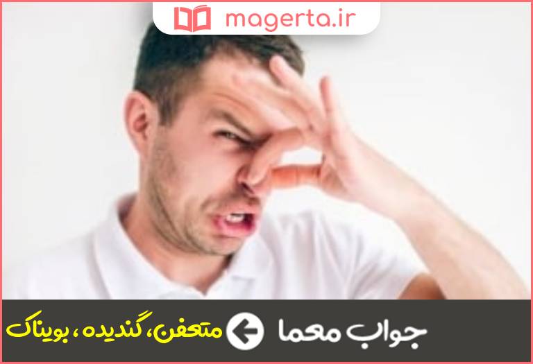 جواب معما بدبو در جدول