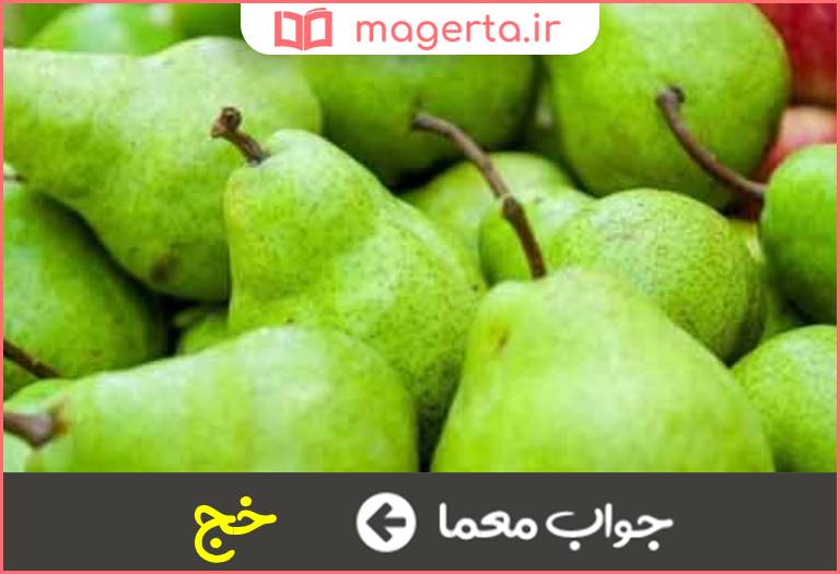 جواب معما نوعی گلابی در گیلان در جدول