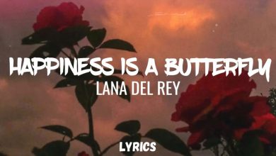 متن و ترجمه آهنگ Happiness is a butterfly از Lana Del Rey