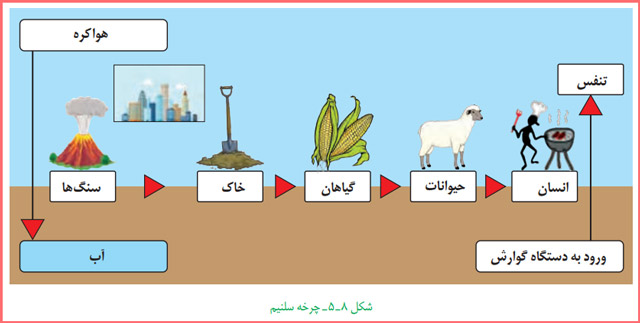 سوالات متن فصل پنجم زمین شناسی یازدهم با جواب