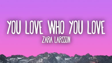 متن و ترجمه آهنگ You Love Who You Love از Zara Larsson